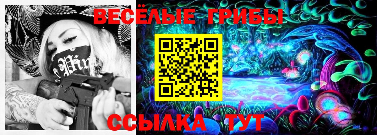 Псилоцибиновые грибы GOLDEN TEACHER Кстово