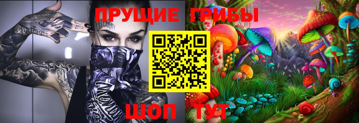Псилоцибиновые грибы Psilocybe  Вход с VPN  Кстово 